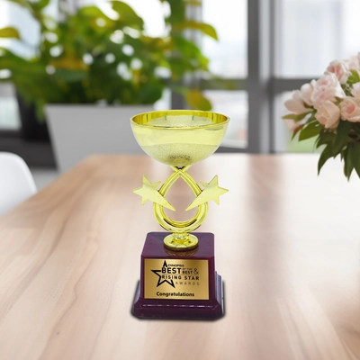 Customized Fiber Corporate Trophy ( Size : 6 inch)1